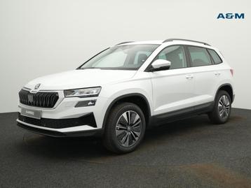 Skoda Karoq Karoq 1.0 TSI Limited Cycling Edition beschikbaar voor biedingen