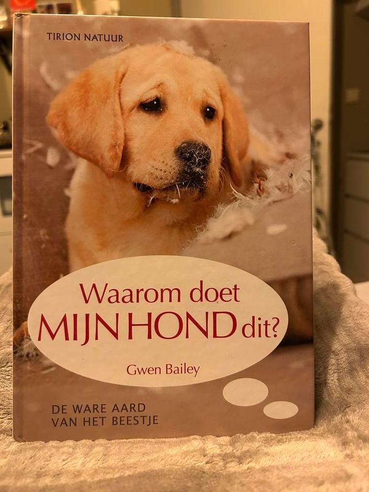 Gwen Bailey - Waarom doet mijn hond dit?, Boeken, Dieren en Huisdieren, Ophalen