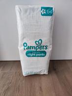 Pampers Baby Dry night pants 6, Envoi, Neuf