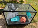 Cage Zeno 2, Dieren en Toebehoren, Knaagdieren en Konijnen | Hokken en Kooien, Ophalen, Gebruikt, Kooi