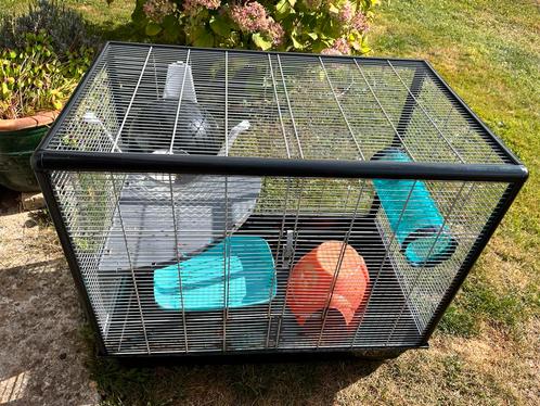 Cage Zeno 2, Dieren en Toebehoren, Knaagdieren en Konijnen | Hokken en Kooien, Gebruikt, Kooi, Ophalen