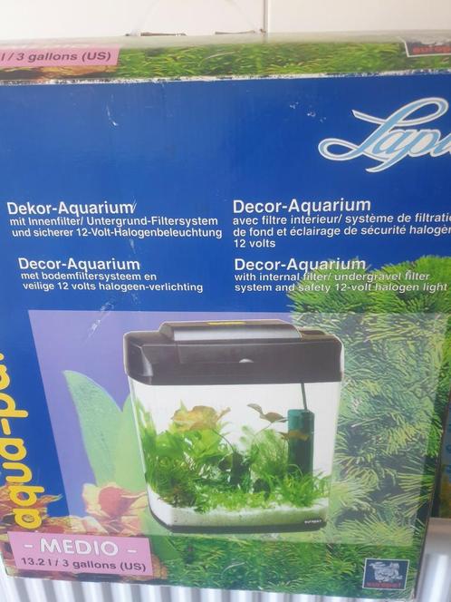 Te koop wegens verhuizing !!, Dieren en Toebehoren, Vissen | Aquaria en Toebehoren, Zo goed als nieuw, Ophalen