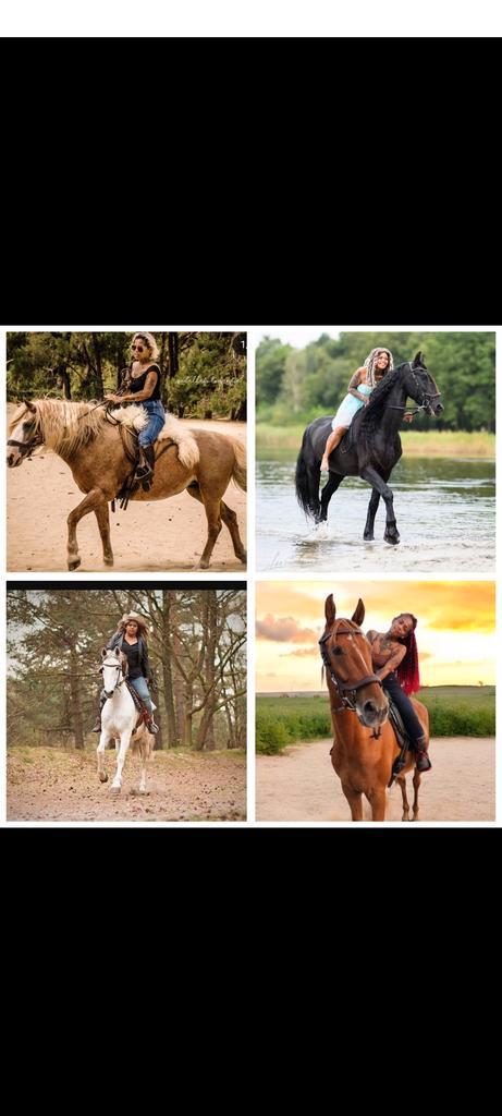 Gezocht leuke pony voor buitenritten, Dieren en Toebehoren, Pony's