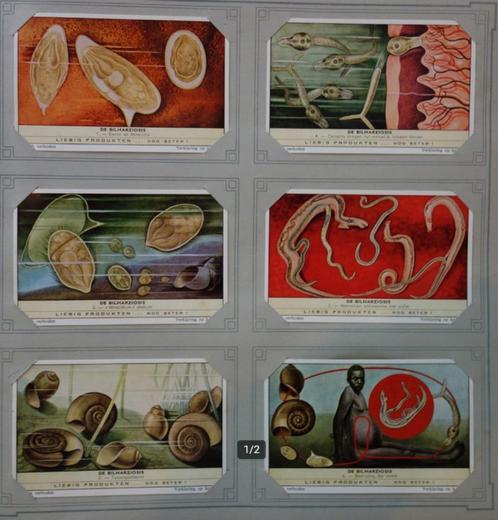 Liebig Chromos - De Bilharziosis (1961), Collections, Collections complètes & Collections, Enlèvement ou Envoi