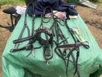 Cavecon Halter hoofdstellen, Ophalen, Zo goed als nieuw