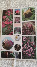 Zelfklevende Stickers, Ophalen of Verzenden, Nieuw, Dier en Natuur