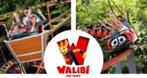 WALIBI PASS ANNUEL VALABLE JUSQU'AU 18/02/25 - 75 €, Tickets & Billets, Loisirs | Parcs d'attractions, Trois personnes ou plus