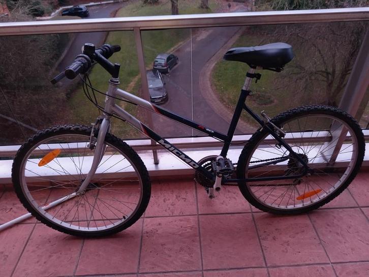 Fiets, Fietsen en Brommers, Fietsen | Oldtimers, Ophalen