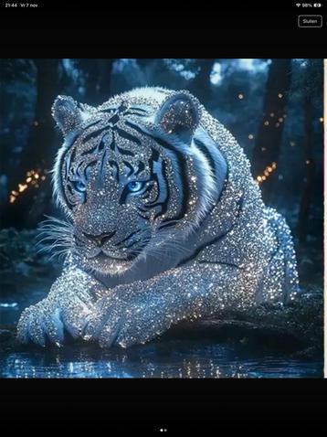 Diamond painting glitter tijger ronde steentjes nieuw! 60x60 beschikbaar voor biedingen