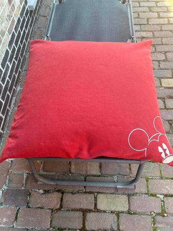 NIEUW GROOT KUSSEN 80 cm x 80 cm beschikbaar voor biedingen