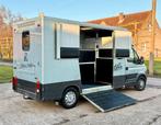 Renault Master 2.5DCI Paardencamionette Dubbel Cabine Airco, Dieren en Toebehoren, Ophalen