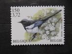 2988 Ekster - Pie bavarde MNH, Ophalen of Verzenden, Postfris, Frankeerzegel