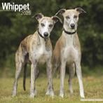 Whippet kalender 2025, Ophalen of Verzenden, Jaarkalender, Nieuw