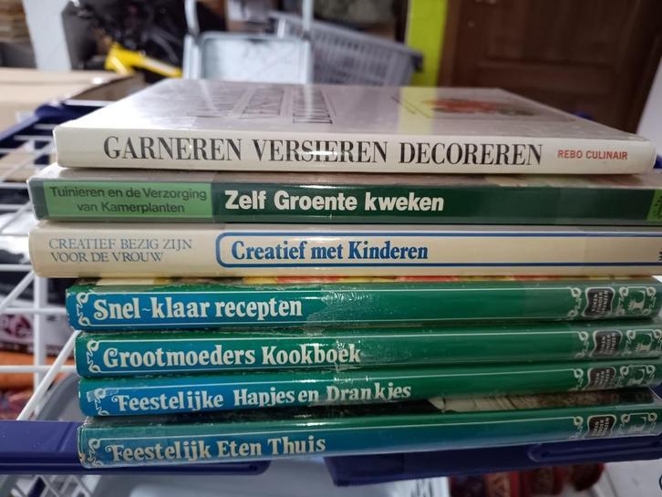 grote doos boeken vanalles, Boeken, Overige Boeken, Gelezen, Ophalen