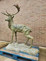 BRONZEN VRIJ GROOT HERT AAN ZER LAGE PRIJS, OOK ANDERE !!!, Verzenden, Zo goed als nieuw, Overige materialen, Dierenbeeld