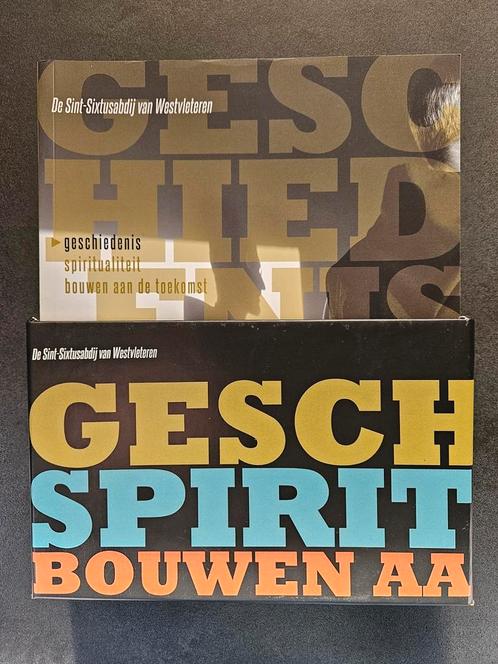 Geschiedenis spiritualiteit bouwen aan de toekomst, Boeken, Kunst en Cultuur | Architectuur, Zo goed als nieuw, Ophalen