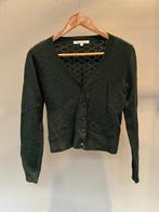 weinig gedragen - groen truitje SWEET SODA - s, Kleding | Dames, Sweet soda, Ophalen of Verzenden, Zo goed als nieuw, Maat 36 (S)