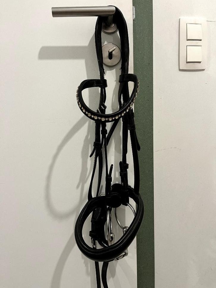 Hoofdstel Schockemöhle maat cob, Dieren en Toebehoren, Paarden en Pony's | Hoofdstellen en Tuigage, Gebruikt, Dressuur, Ophalen of Verzenden