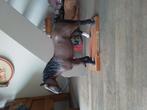 Paard,uit de oude slagerij, Ophalen