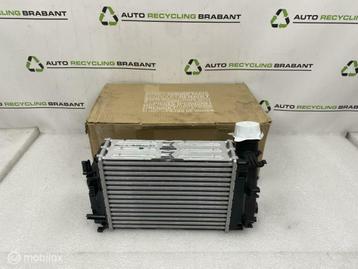 Intercooler Renault Kadjar Renault Megane NIEUW 144962803R beschikbaar voor biedingen