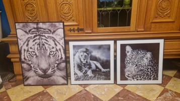 3 canvassen 20 euro beschikbaar voor biedingen