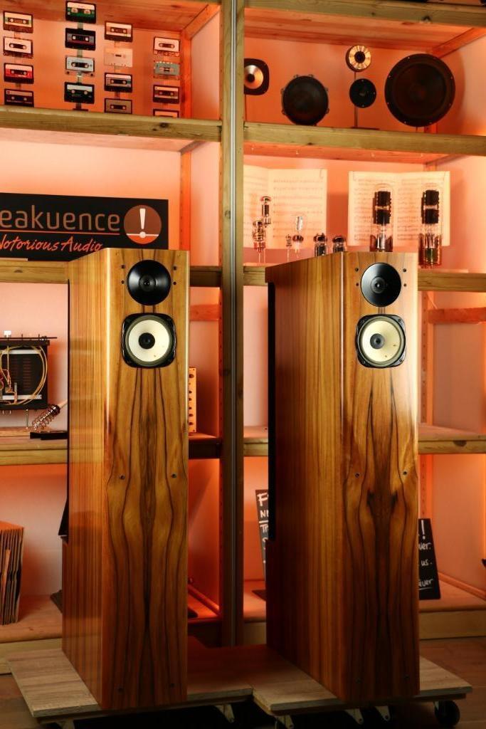Horning Eufrodite MK2 / MK 2 TRADE.INRUIL High dB* Sessie?, Audio, Tv en Foto, Luidsprekerboxen, Zo goed als nieuw, Front, Rear of Stereo speakers