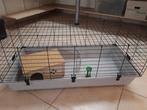 cage lapin, Dieren en Toebehoren, Knaagdieren en Konijnen | Hokken en Kooien, Kooi, Nieuw, Hamster, 75 tot 110 cm