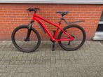 Mountainbike, Fietsen en Brommers, Fietsen | Mountainbikes en ATB, Hardtail, Heren, Zo goed als nieuw, Ophalen