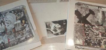 Fleetwood Mac/Tusk vinyl beschikbaar voor biedingen