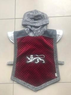 Carnavalskleding ridder draak Souza, Kinderen en Baby's, Carnavalskleding en Verkleedspullen, Zo goed als nieuw, Jongen of Meisje