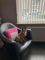 Bizet zetel, Huis en Inrichting, Ophalen of Verzenden, Zo goed als nieuw