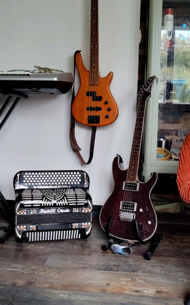 ACCORDÉON FRATELLI CROSIO signature Do2, Musique & Instruments, Instruments | Accessoires, Utilisé, Accordéon, Enlèvement