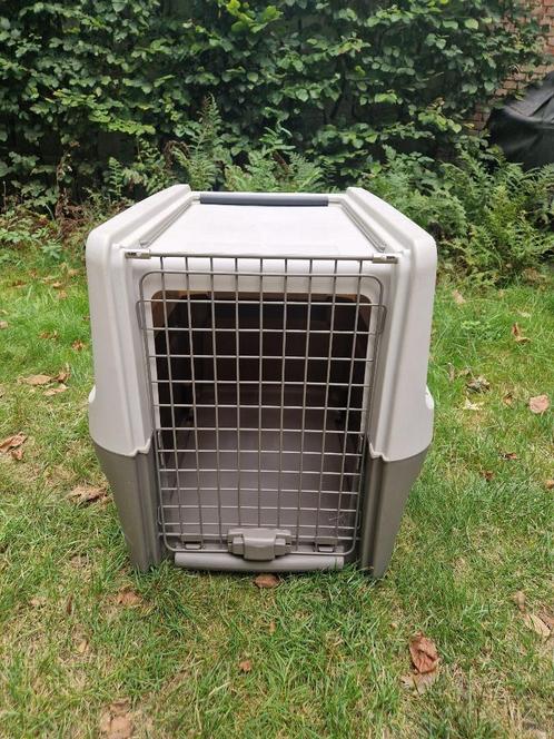 Transportbox Hond 55x66x41cm, Dieren en Toebehoren, Transportboxen, Gebruikt, Ophalen of Verzenden