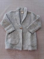Lichtgrijze trui / jasje / gilet / golf wol 5 jaar M110 Zara, Enlèvement ou Envoi, Pull ou Veste, Comme neuf, Zara