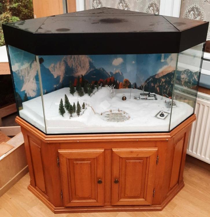 Aquarium ~220L de coin 80x80cm sur meuble en chêne, Animaux & Accessoires, Poissons | Aquariums & Accessoires, Enlèvement ou Envoi