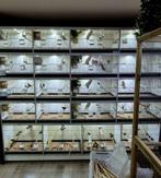 Kweekkooien kanaries/exoten merk: Van Keulen, Ophalen, Zo goed als nieuw, Broedkooi of Kweekkooi