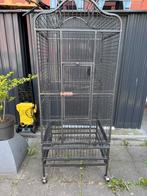 papegaaienkooi, Ophalen, Gebruikt, Metaal, Vogelkooi