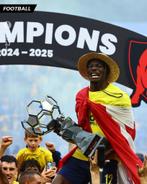 Officiële Kampioensbanner Union SG 2024-2025, Ophalen, Zo goed als nieuw