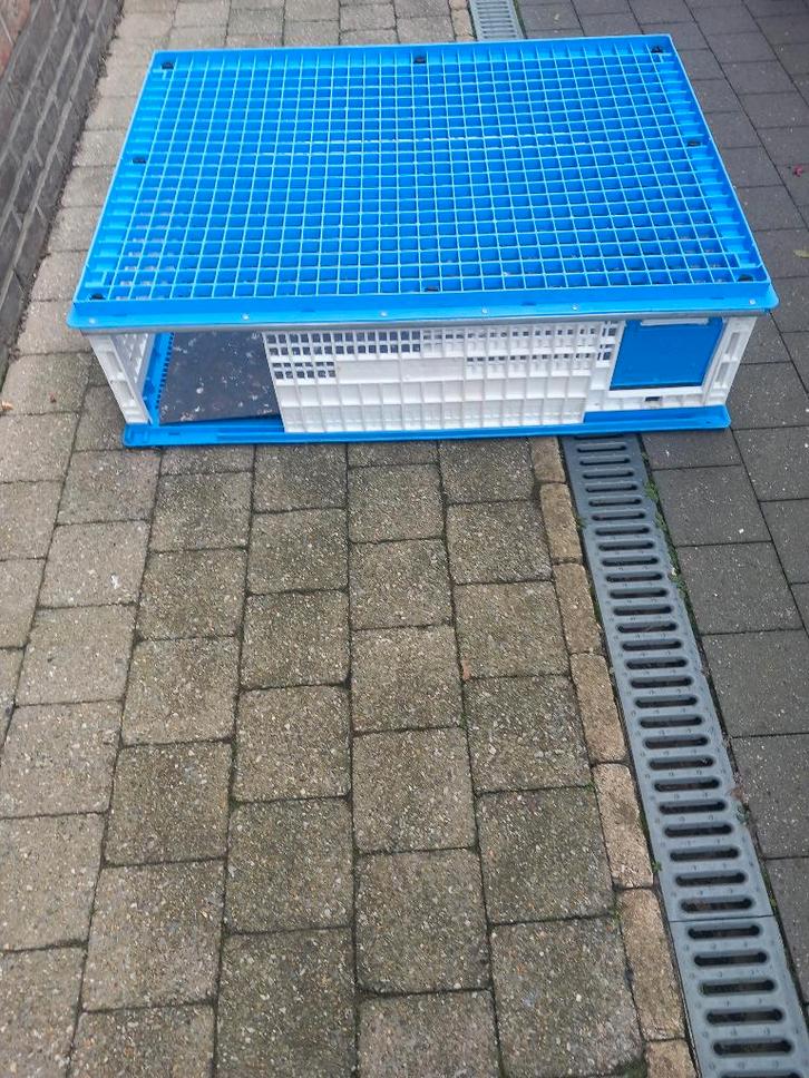 duiven grote opleermand, Animaux & Accessoires, Autres accessoires pour animaux, Comme neuf, Enlèvement