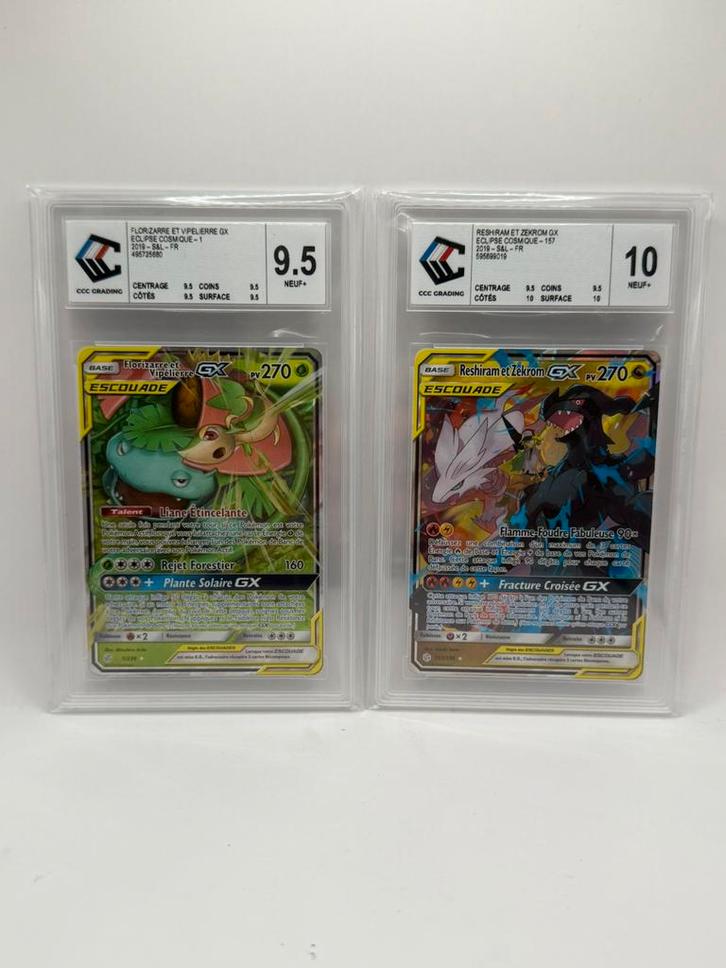 Pokémon TCG Reshiram Zekrom 157 + Florizarre Vipélierre CCC, Hobby & Loisirs créatifs, Jeux de cartes à collectionner | Pokémon