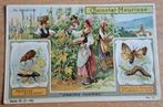 Chromoprent Meurisse. Serie IX nr12. Begin jaren 1900., Ophalen of Verzenden