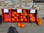 Pompoenen en courgettes te koop, Zakelijke goederen, Landbouw | Aardappelen, Groenten, Fruit en Vlees, Ophalen