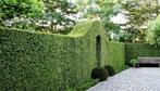 Jardinier
