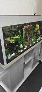 Aquarium juwel 240, Dieren en Toebehoren, Ophalen, Zo goed als nieuw