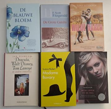 Romans & Literatuur (5) beschikbaar voor biedingen