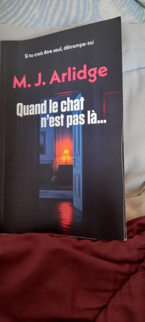 Quand le chat n'est pas là..., Boeken, Romans, Zo goed als nieuw, Ophalen of Verzenden