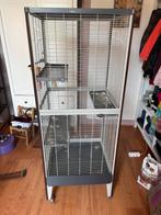 Groot knaagdieren kooi, Ophalen, Kooi, Gebruikt, Minder dan 75 cm