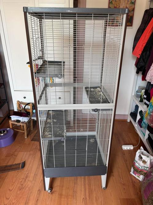 Groot knaagdieren kooi, Dieren en Toebehoren, Knaagdieren en Konijnen | Hokken en Kooien, Gebruikt, Kooi, 90 cm of meer, Minder dan 75 cm