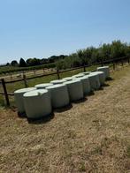 Fructaanarm hooi midi balen, Zakelijke goederen, Landbouw | Veevoer, Ophalen