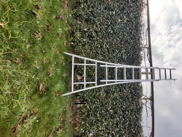 Solide ladder beschikbaar voor biedingen